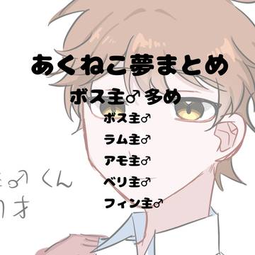 あくねこ夢まとめ