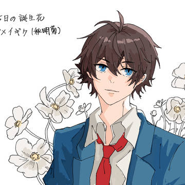 秋明菊