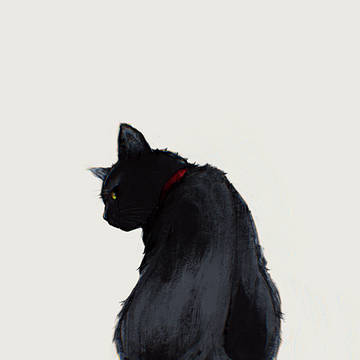 ねこ#07
