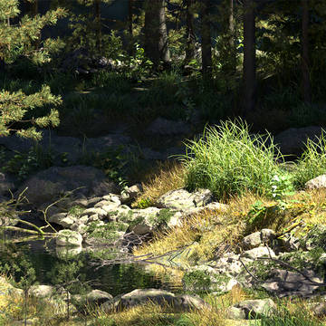 wetland forest