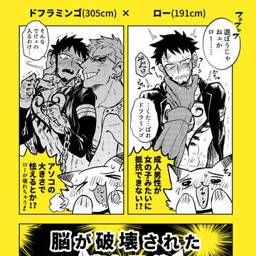 【新刊告知】腐女子がわんぴについて語ってみた