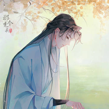 中人之姿沈兰舟
