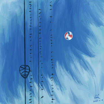 排球と鳩