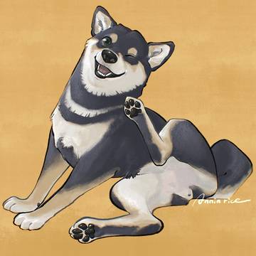かいかい黒柴