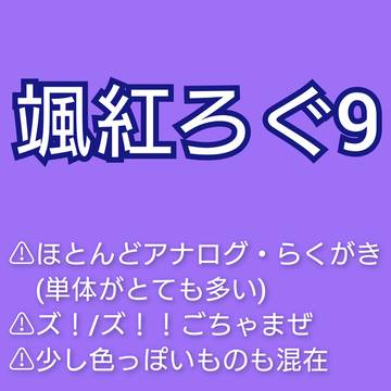 颯紅ろぐ9