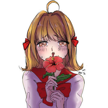 ハイビスカス