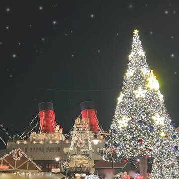 ディズニーシーデート