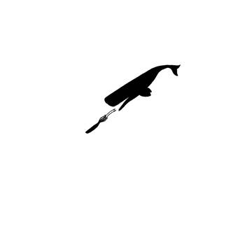 Whale and Squid