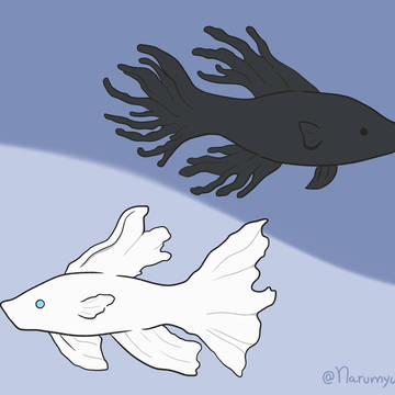 Geto x Gojo Fish