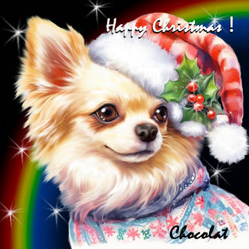 虹の橋でもクリスマス