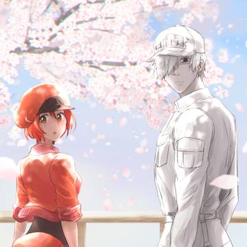 【赤色骨髄会】 白赤と四季