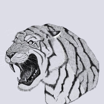 🐯🐺🐑
