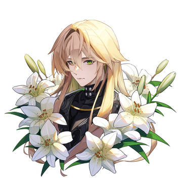 百合花