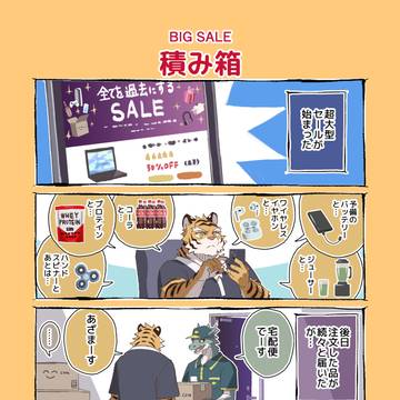 例の大型セール
