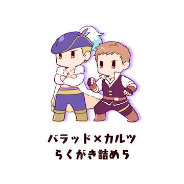 バラカル詰め５