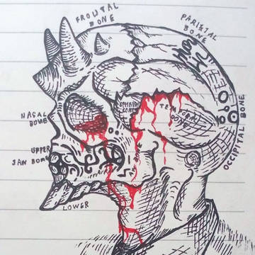 头骨💀