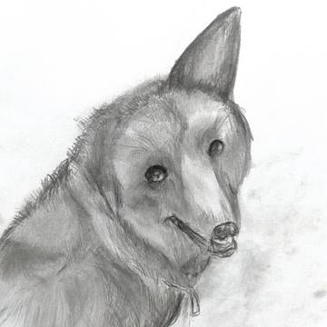愛犬に会いたくて