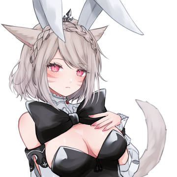 ミコッテまとめ