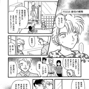 FILE.15 緋色の樹海