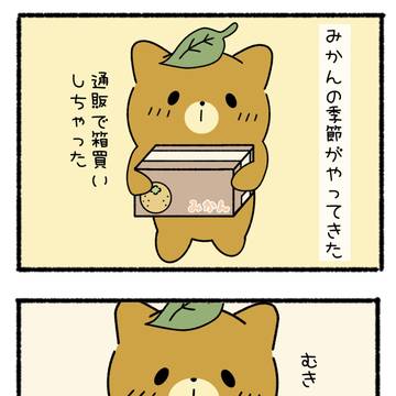 『みかん🍊』