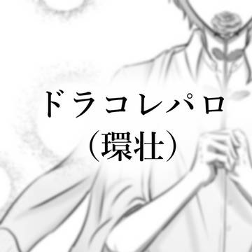 【環壮】ドラコレパロ