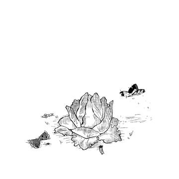そんちょうはしってる【おまけ3+α】