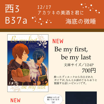【お品書き】12/17ディルガイオンリー