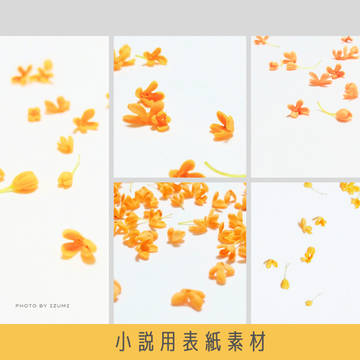 小説用表紙素材 37