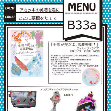 12/17ディルガイオンリー　お品書き