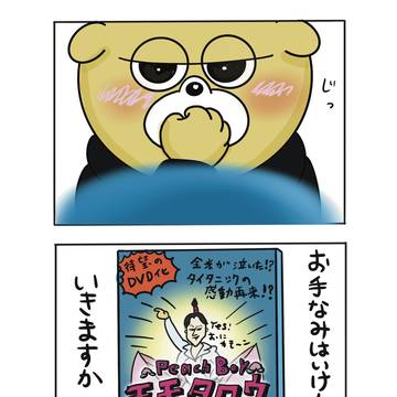 厨二犬-18