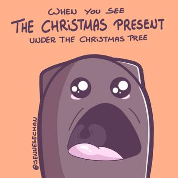 christmas suprise