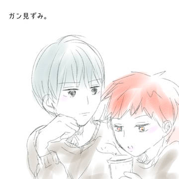 黛赤詰め