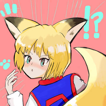 キツネピカ概念