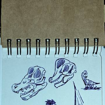 Paleo Mimi Sketches