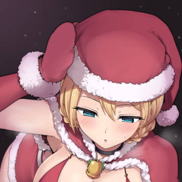 クリスマスお準備ダージリン様