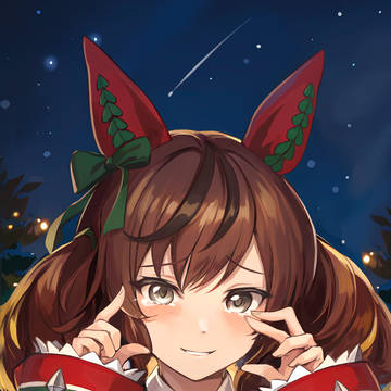 クリスマスの願い、絶対にかなうんだよね…はは。
