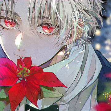 クリスマス・カラー