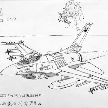 乌克兰空军F-16AM”战隼“——蓝天与麦田的守望者