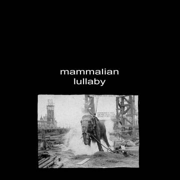 mammalian lullaby