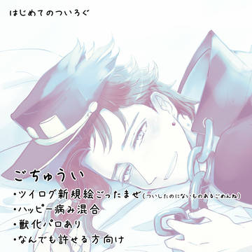 【承花】はじめてのついろぐ【腐】