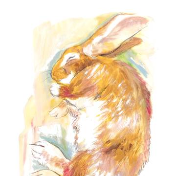 我が家のうさぎ