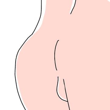おしり
