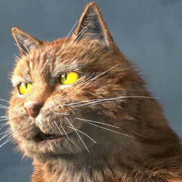 Catzilla Meow