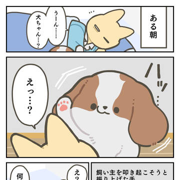 ハイファイブ