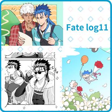 Fate log11