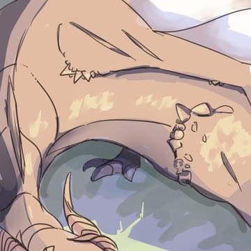 ドラゴンの縄張り
