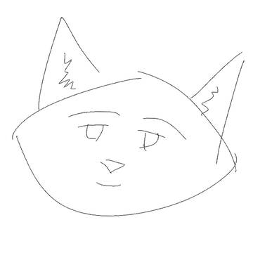 raccoon