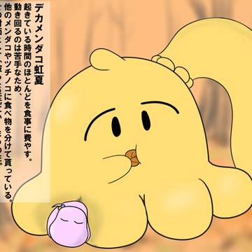 デカメンダコ虹夏の秋