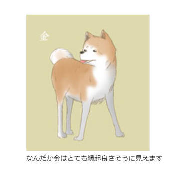 昔のサイトのイラスト