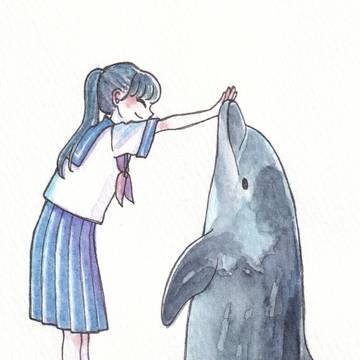 イルカ